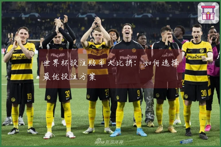 世界杯投注赔率大比拼：如何选择最优投注方案