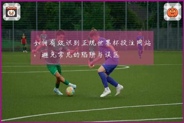 如何有效识别正规世界杯投注网站，避免常见的陷阱与误区