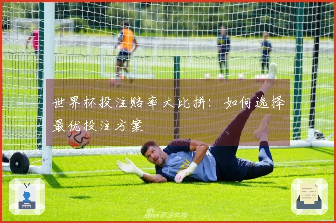 世界杯投注赔率大比拼：如何选择最优投注方案