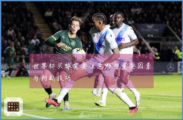 世界杯买球需要注意哪些重要因素与判断技巧