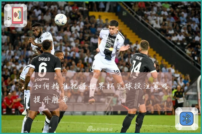 如何精准把握世界杯买球投注策略提升胜率
