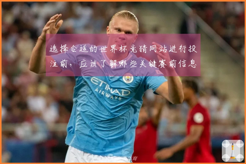 选择合适的世界杯竞猜网站进行投注前，应该了解哪些关键赛前信息？