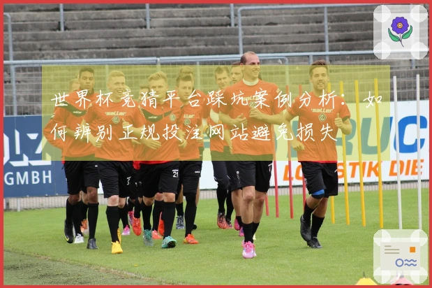 世界杯竞猜平台踩坑案例分析：如何辨别正规投注网站避免损失